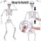 2Pack 5.4Ft Life Size Skeletons Posable Skeletons Full Size Plastic Human Skeleton with Movable Joint for Halloween Outdoor Indoor Decorations